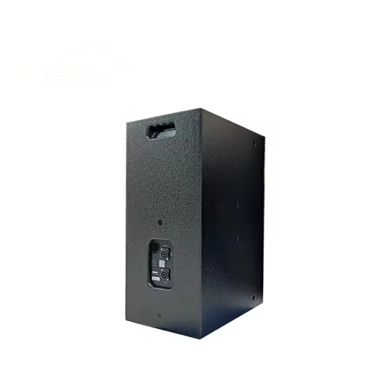 Двухполосная пассивная полноди – обзор и цена Full Range Speaker