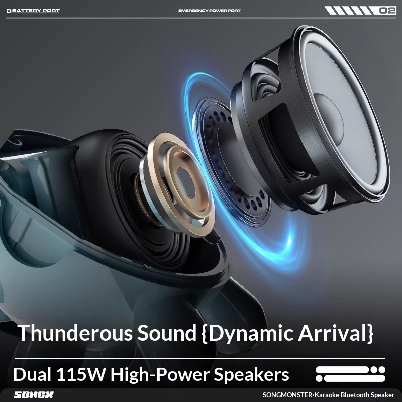 SONGX Audio двойной микрофон D – обзор и цена Full Range Speaker